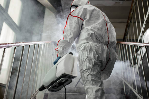 Best Attic Mold Removal  in Bohners Lake, WI